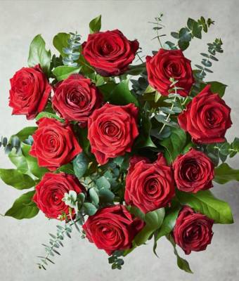 12 Red Roses